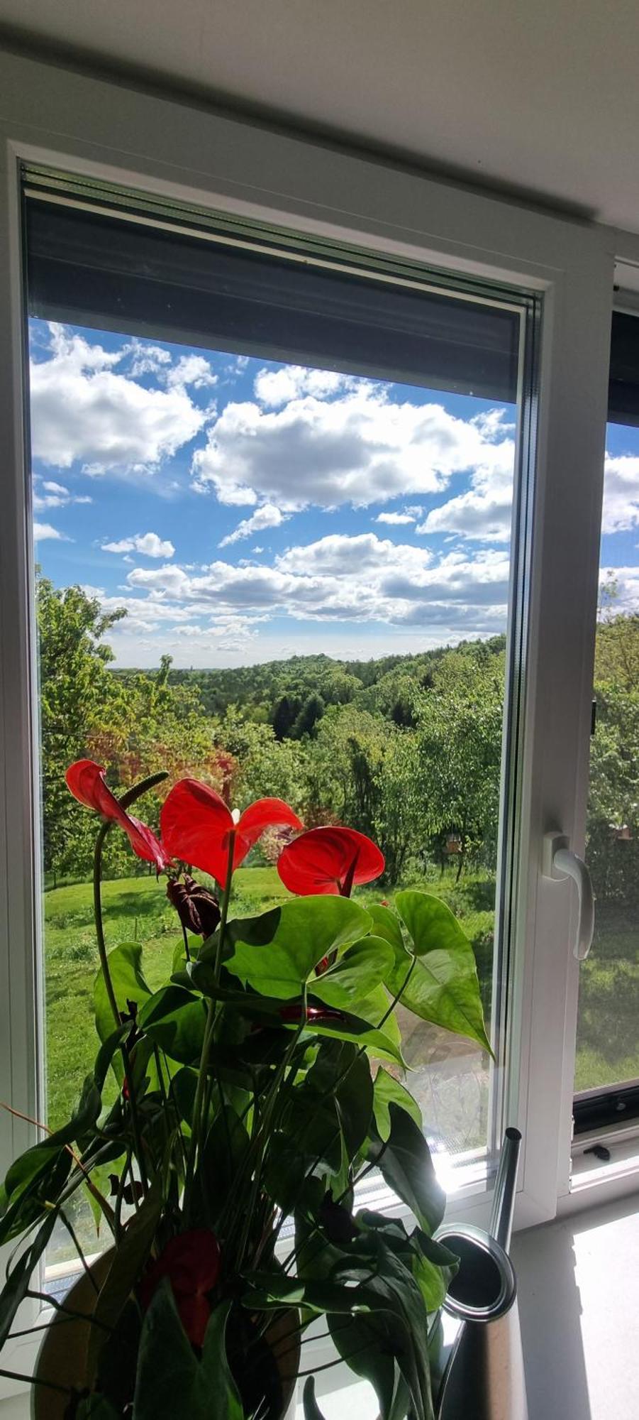 Kunterbunt Apartmán